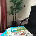 Alcyon 索米尔