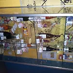 酒店 Alcyon 索米尔