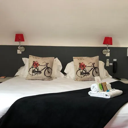 Alcyon Hotel Saumur