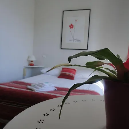 Alcyon Отель 2*